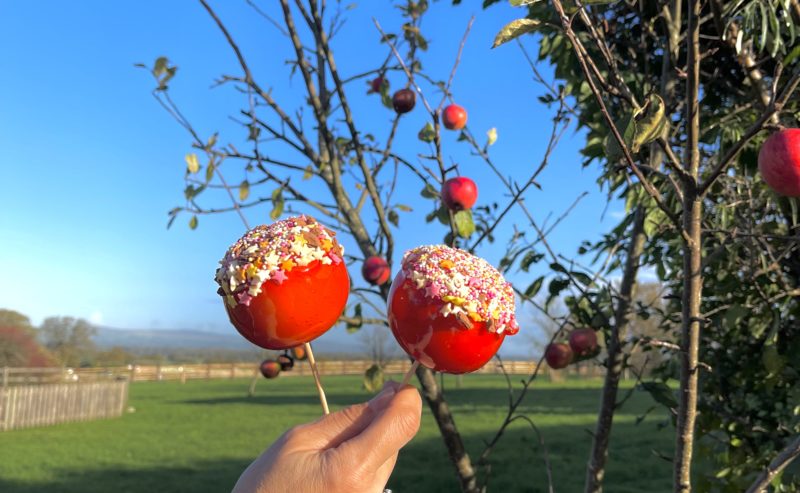 RECIPES: Bonfire Toffee Apples